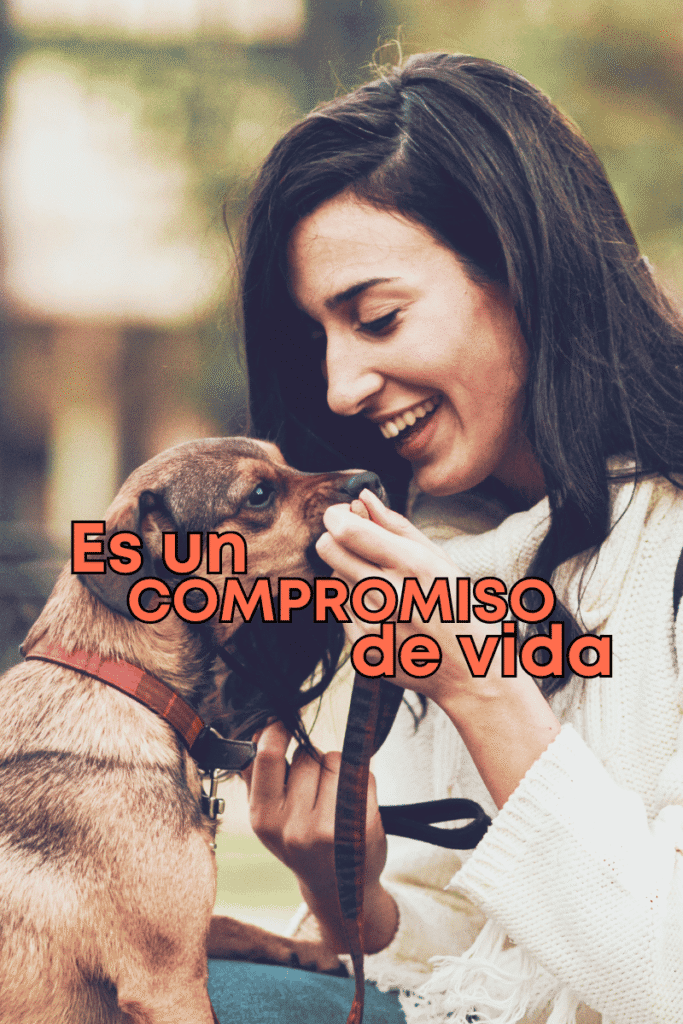 bestfriendsmx_bestfriends_mejores.amigos.juntos_compromiso.de.vida_dia.del.perro.2025_claudia.edwards_humane.world.for.animals_adopcion.responsable_bienesta.animal 1