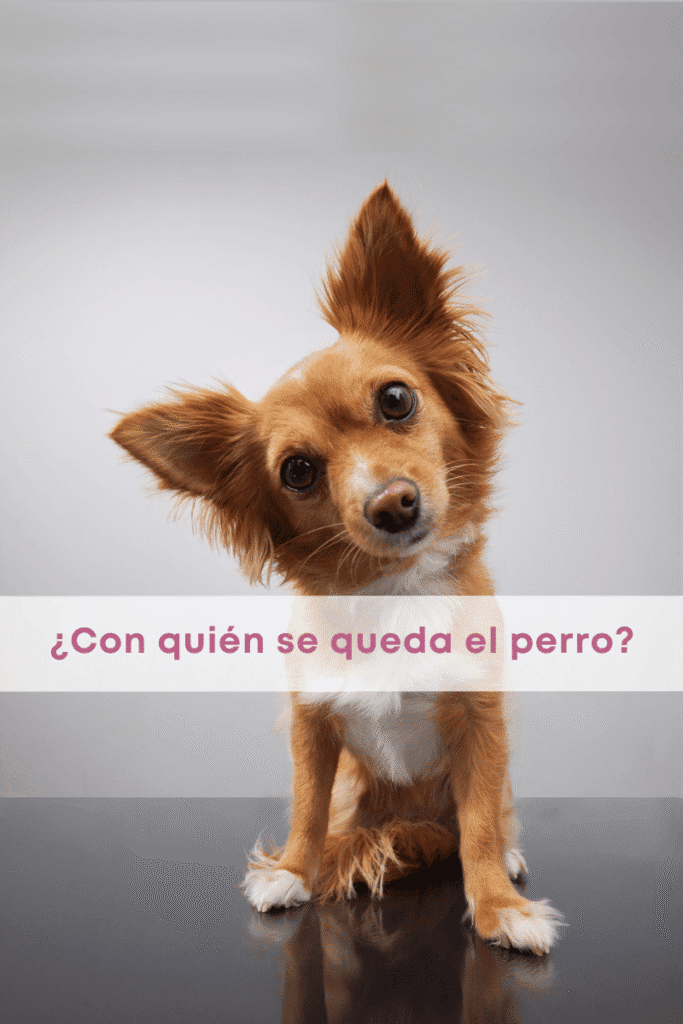 best.friends.mx_best.friends_mejores.amigos.juntos_con.quien.se.queda.el.perro_custodia.compartida_animales.en.cdmx_divorcio_animales.en.separacion 2
