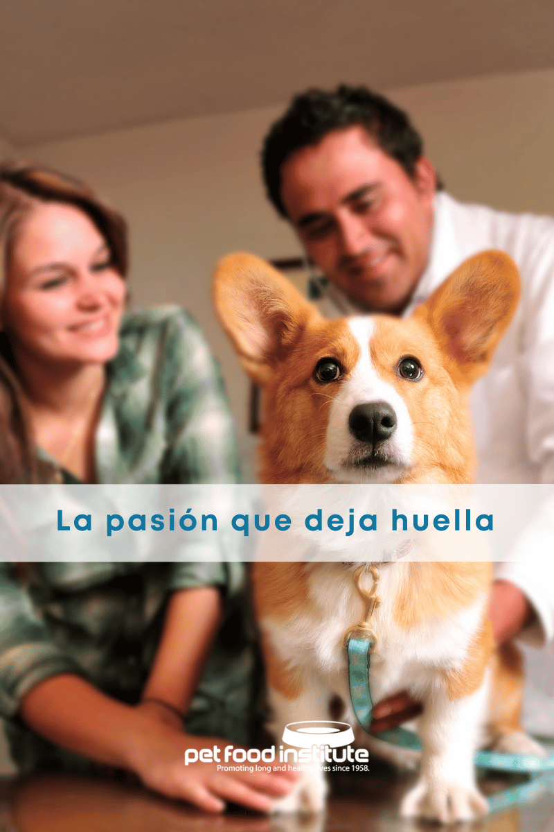 best.friends.mx_best.friends_mejores.amigos.juntos_pet.food.institute_mascota.sana.mascota.feliz_veterinario_medico.veterinario 3