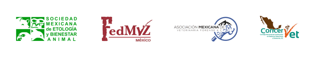 best.vets.mx_best.vets_creciendo.juntos_Taller Bienestar Animal 2