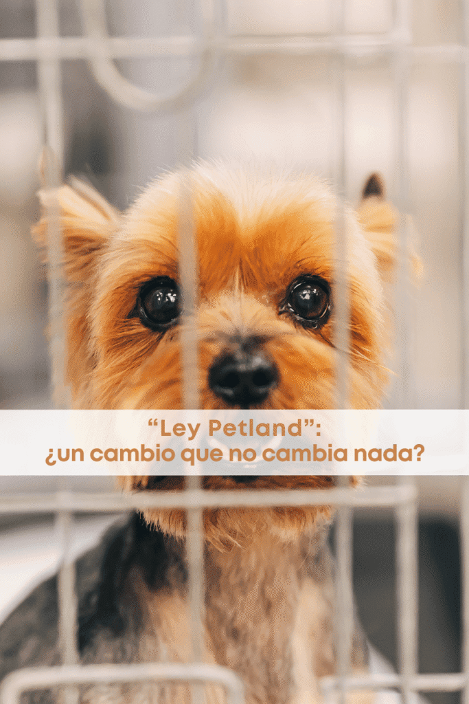 best.friends.mx_best.friends_mejores.amigos.juntos_paot_agatan_propuesta.de.cambio.de.ley.de.proteccion.y.bienestar.animal_criadores.de.perros_puppy.mills 1