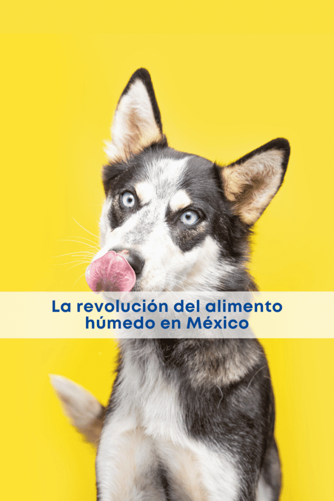 best.friends.mx_best.friends_mejores.amigos.juntos_pedigree_sobres_sobre_alimento.humedo_me.toca.sobre_adopcion_perros.comida.para.perro 1