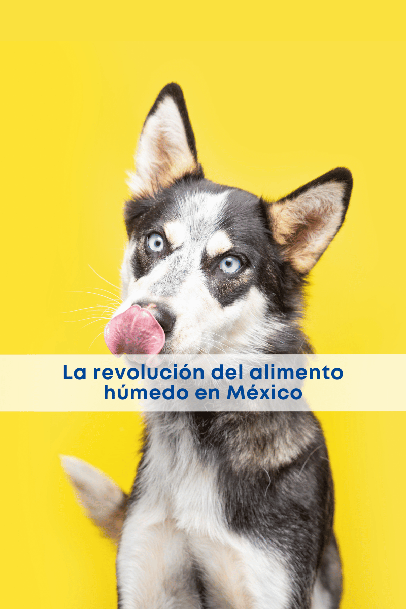 best.friends.mx_best.friends_mejores.amigos.juntos_pedigree_sobres_sobre_alimento.humedo_me.toca.sobre_adopcion_perros.comida.para.perro 1