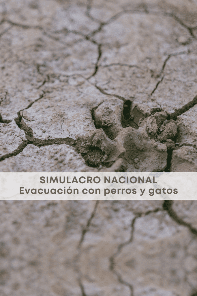 best.friends.mx_best.friends_mejores.amigos.juntos_simulacro.nacional_evacuacion.con.animales_sismo_mexico_temblor_alerta.sismica 2