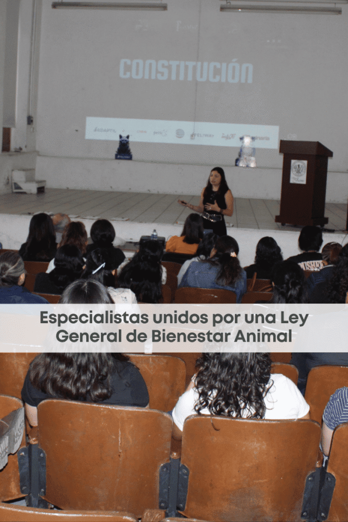 best.vets.mx_best.vets_creciendo.juntos_Taller Bienestar Animal