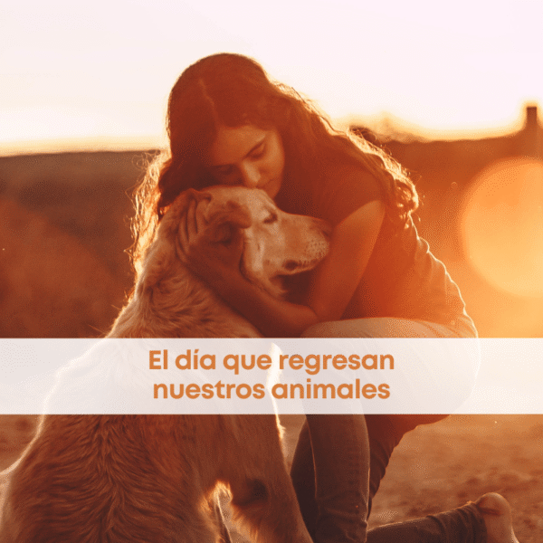 best.friends.mx_best.friends_mejores.amigos.juntos_27.de.octubre_dia.de.muertos_mascotas_animales.de.familia_eutanasia_almas.de.perros_almas.de.gatos_ofrenda.para.animales