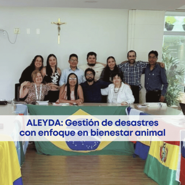 best.friends.mx_best.friends_mejores.amigos.juntos_best.vets.mx_best.vets_creciendo.juntos_aleyda_brasl_congreso_desastres_bienestar.animal