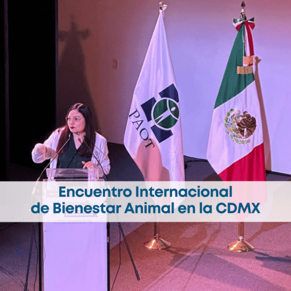 best.friends.mx_best.friends_mejores.amigos.juntos_paot_Encuentro.Internacional.de.Procuración.y.Justicia.en.Materia.de.Bienestar.Animal