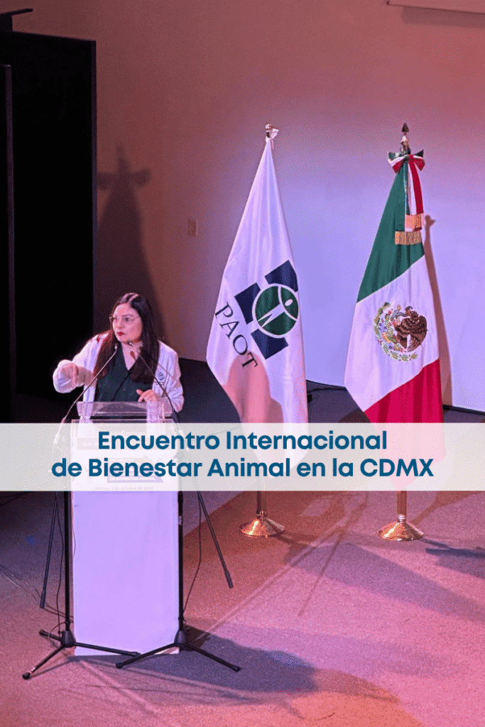 best.friends.mx_best.friends_mejores.amigos.juntos_paot_Encuentro.Internacional.de.Procuración.y.Justicia.en.Materia.de.Bienestar.Animal