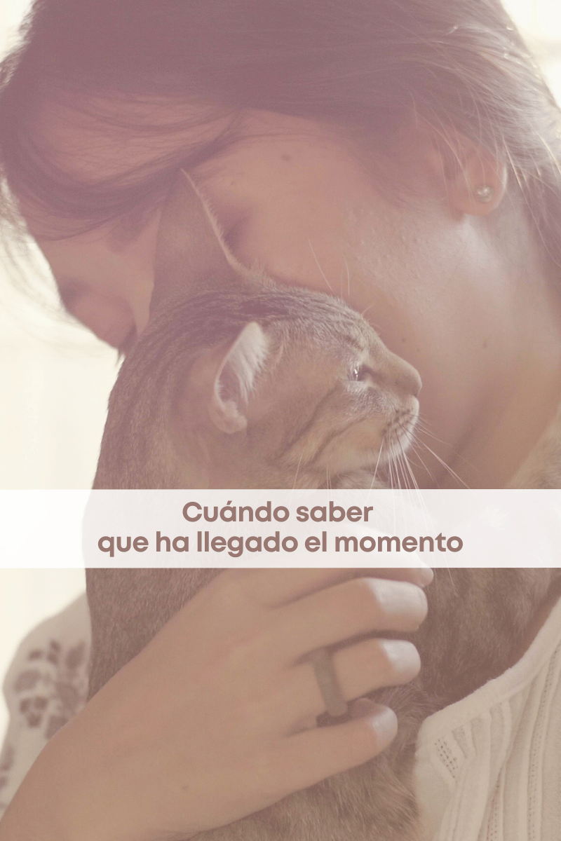 Eutanasia: cuándo saber que ha llegado el momento