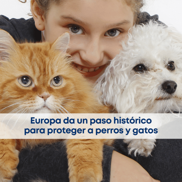 Europa da un paso histórico en el bienestar animal