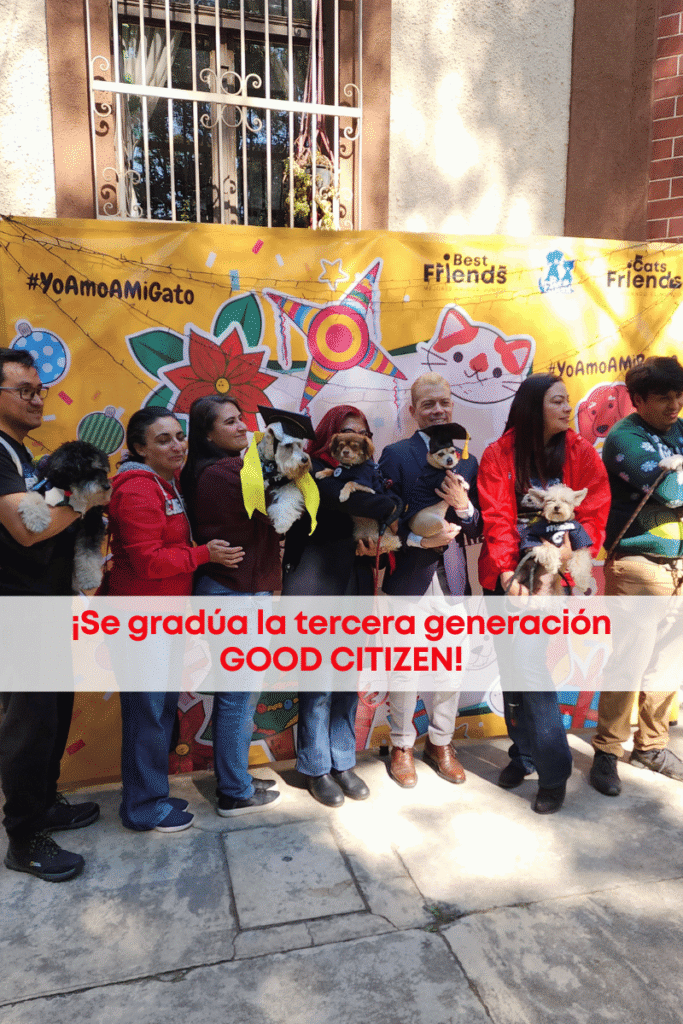 best.friends.mx_best.friends_mejores.amigos.juntos_good.citizen_buenos.ciudadanos_pet.parent_graduacion_bazar.para.perros.y.gatos.y.sus.humanos_tintoreto.34