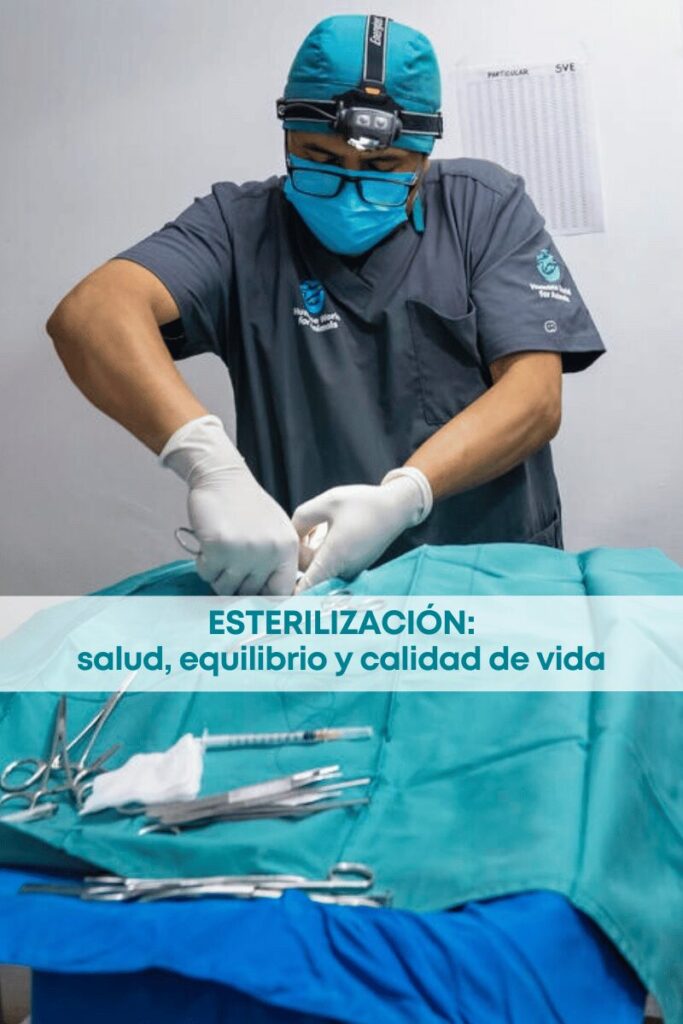 best.friends.mx_best.friends_mejores.amigos.juntos_HUMANE.world.for.animals_esterilizacion_salud.publica_bienestar.animal_claudia.edwards_dia.mundial 1