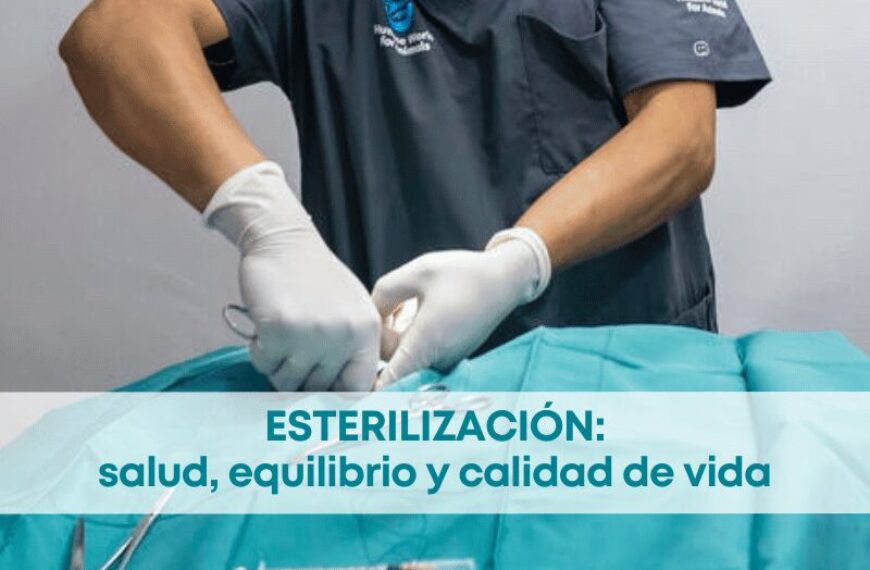 best.friends.mx_best.friends_mejores.amigos.juntos_HUMANE.world.for.animals_esterilizacion_salud.publica_bienestar.animal_claudia.edwards_dia.mundial 1