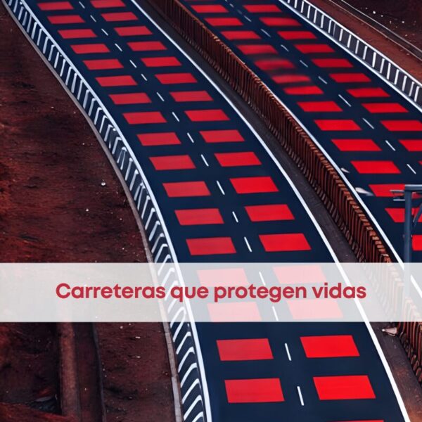 Carreteras rojas para proteger la fauna: la innovadora solución de India