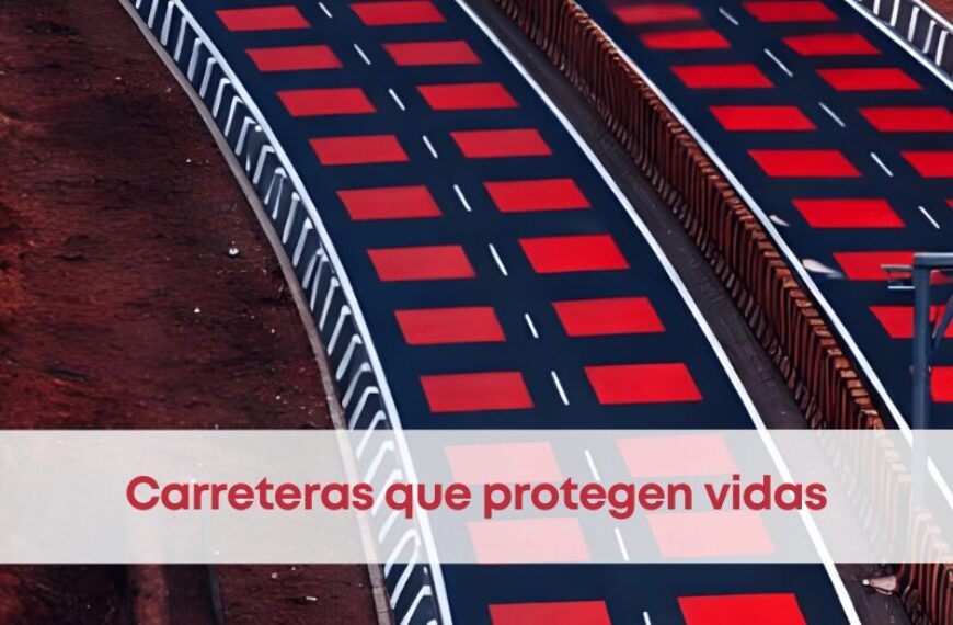 best.friends.mx_best.friends_mejores.amigos.juntos_carreteras.rojas.en.india_fauna_atropellamiento_viaje.en.auto_1