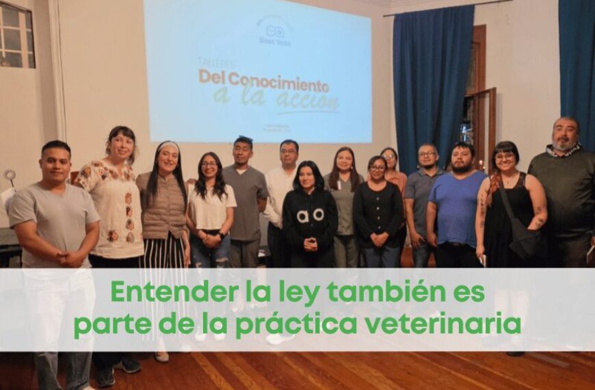 best.vets.mx_best.vets_creciendo.juntos_2do.encuentro.clinico_talleres.del.conocimiento.a.la.accion_1