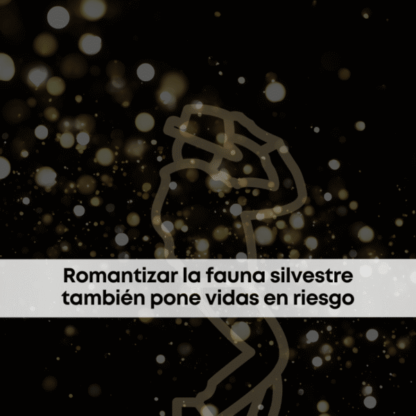 Michael Jackson, el cine y la romantización de animales silvestres