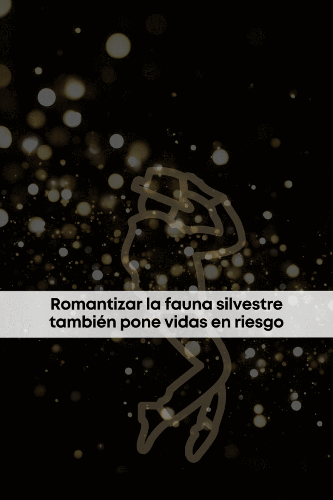 best.friends.mx_best.friends_mejores.amigos.juntos_michael_jackson_bubbles_chimpancé_animales.exoticos_peliculas_bienestar.animal1