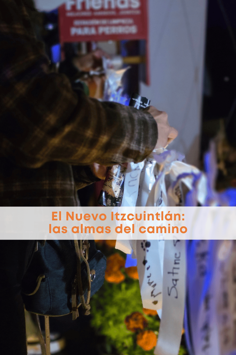 Ofrenda para nuestros animales: El Nuevo Itzcuintlán de Coyoacán