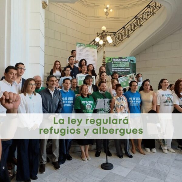Regulación de albergues: ¿qué propone la nueva iniciativa en CDMX?