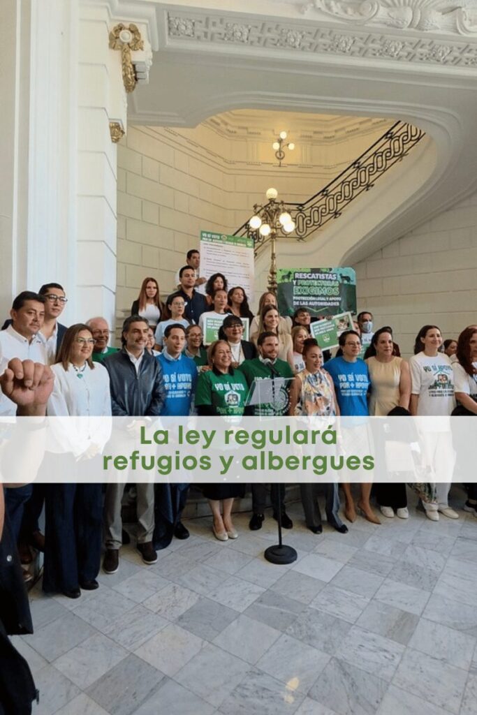 best.friends.mx_best.friends_mejores.amigos.juntos_iniciativa.de.ley_cdmx_partido.verde_refugios.albergues_perros.rescatados_gatos.rescatados 1