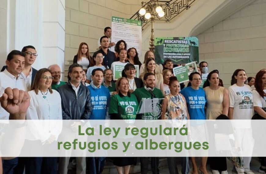 best.friends.mx_best.friends_mejores.amigos.juntos_iniciativa.de.ley_cdmx_partido.verde_refugios.albergues_perros.rescatados_gatos.rescatados 1