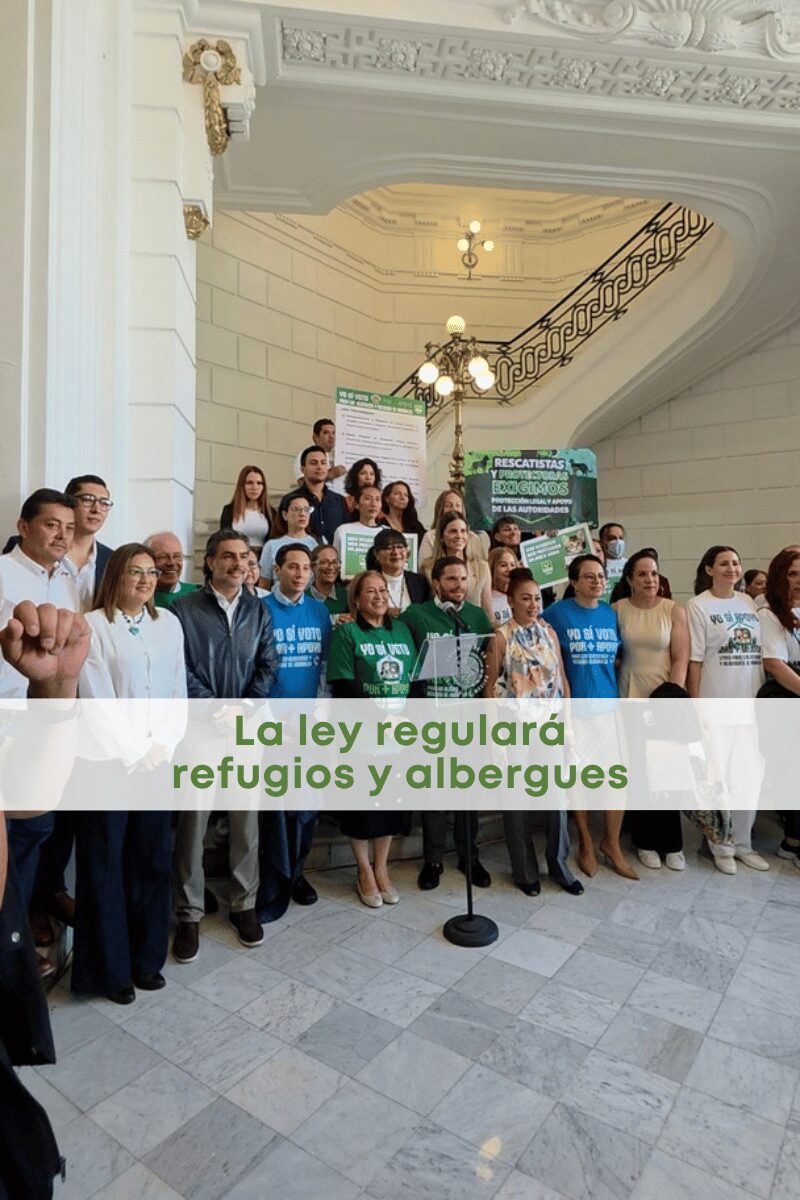 Regulación de albergues: ¿qué propone la nueva iniciativa en CDMX?