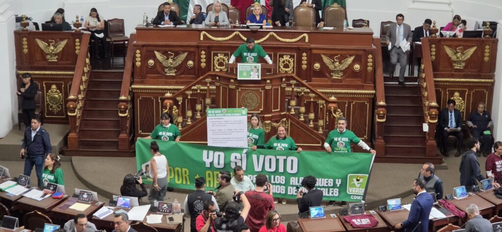 best.friends.mx_best.friends_mejores.amigos.juntos_iniciativa.de.ley_cdmx_partido.verde_refugios.albergues_perros.rescatados_gatos.rescatados3.jpg