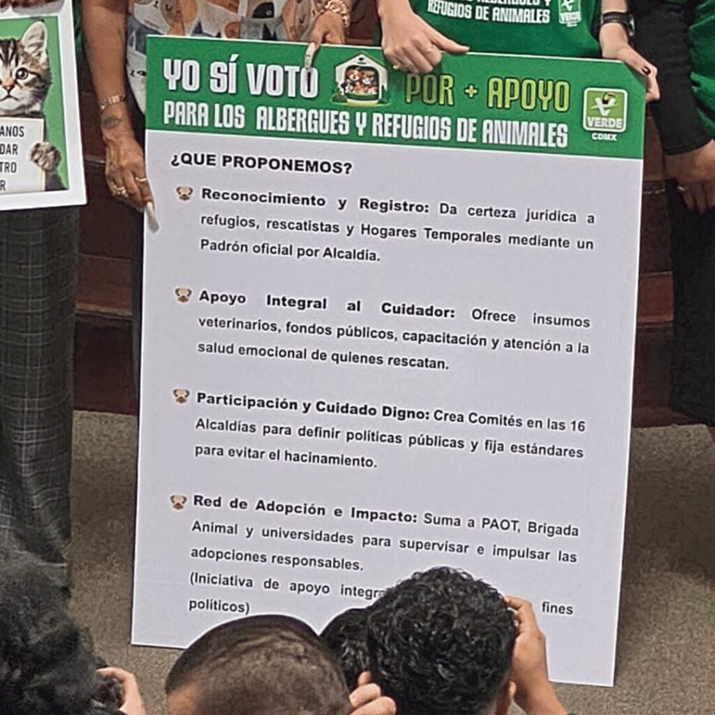 best.friends.mx_best.friends_mejores.amigos.juntos_iniciativa.de.ley_cdmx_partido.verde_refugios.albergues_perros.rescatados_gatos.rescatados5