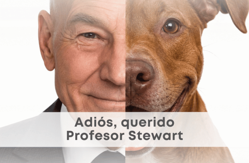 best.friends.mx_best.friends_mejores.amigos.juntos_patrick.stewart_profesro.x_x.men_charles.xavier_ginger_pit.bulls
