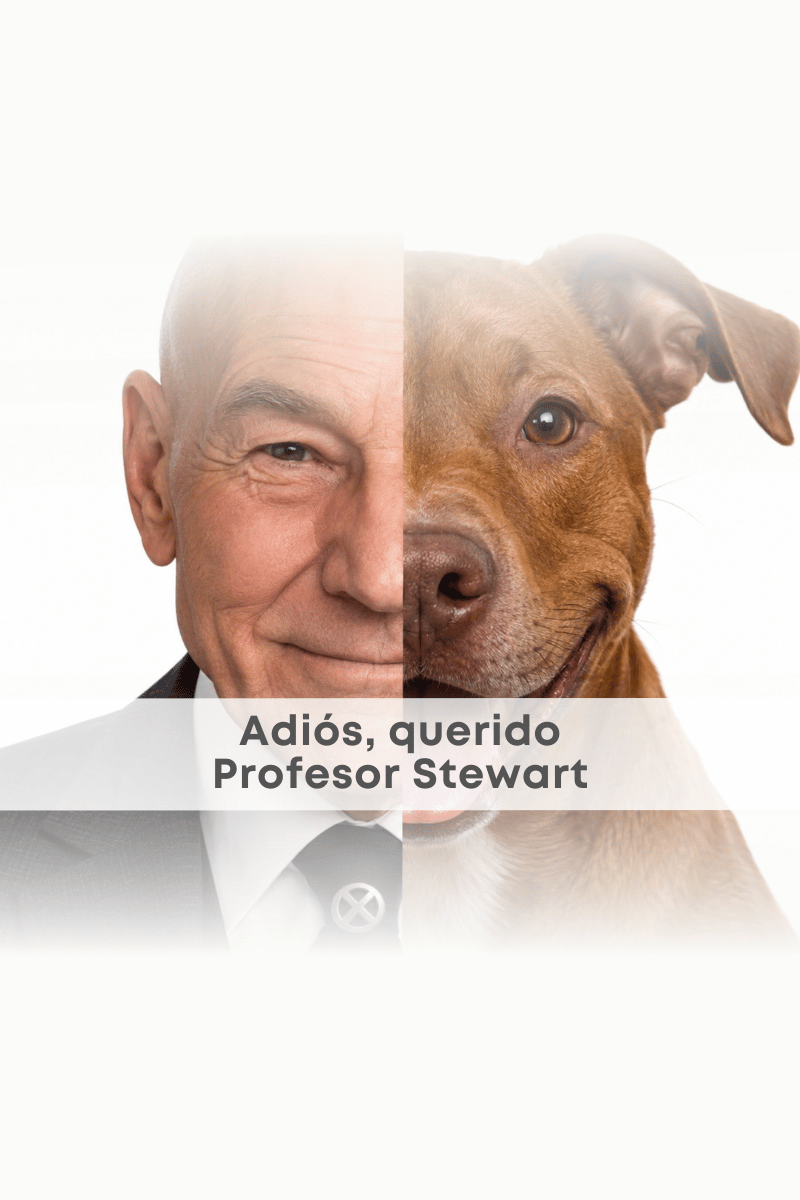 Patrick Stewart y los pit bulls: el legado del Profesor Xavier
